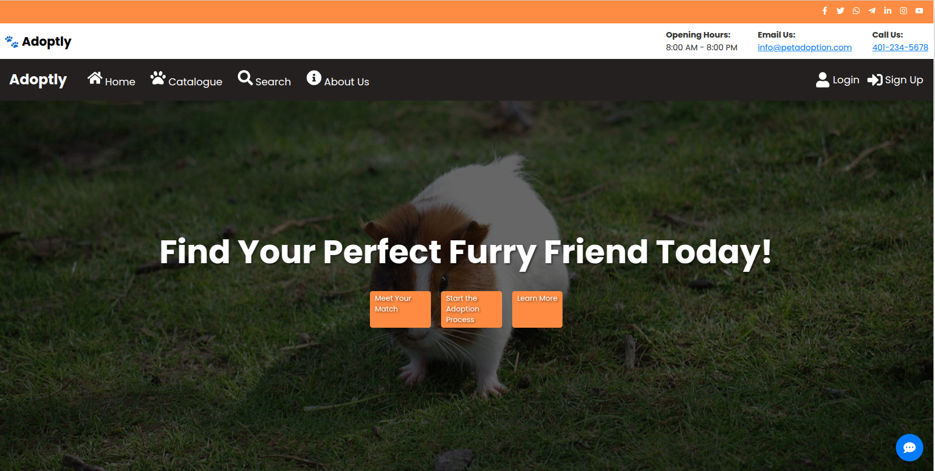 React Pets Adoption